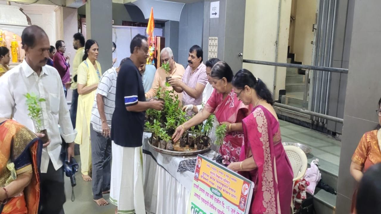 Dombivali residents distribute 2,500 Tulsi saplings across local temples