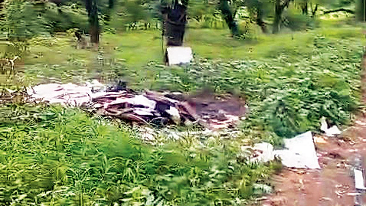 The roadside garbage dump in Aarey Colony, where the woman was discovered. Pics/By Special Arrangement