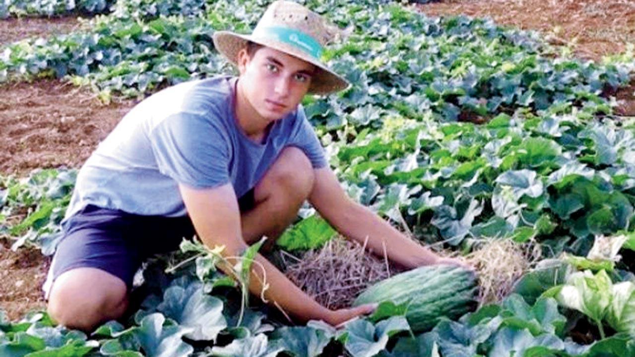 Teen grows melon heavier than a fully-loaded washing machine