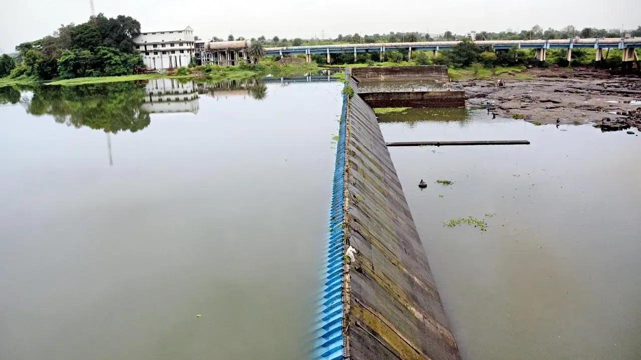 Water levels in 7 lakes supplying water to Mumbai at 11.77 per cent, check stock details here